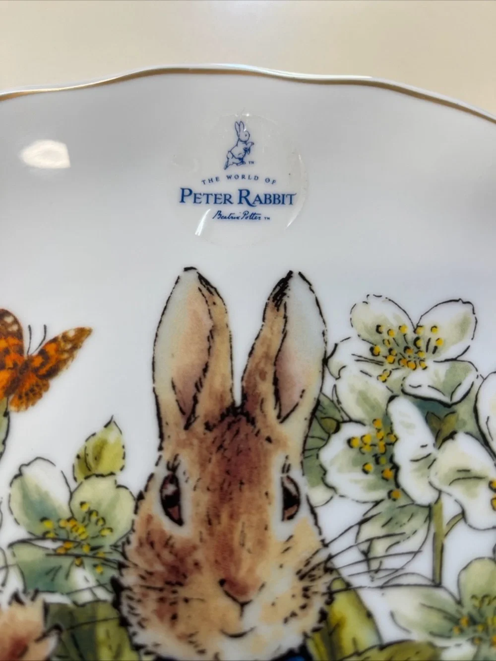Beatrix Potter Peter Rabbit Dinner Plate 10 3/4 Inches w/ Scalloped Edging